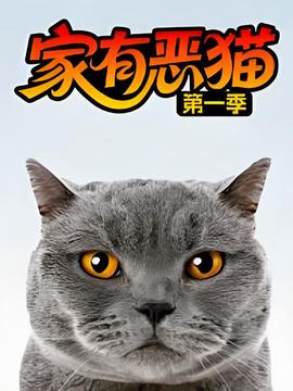 家有恶猫 第一季